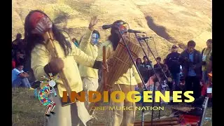 FESTIVAL RITUAL SONDOR RAYMI - YANA SUNQU - INDIOGENES
