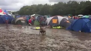 FUNNY MUSIC FESTIVAL FAILS/ FALLS COMPILATION 2018!