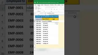 Calculate Age using Datediff in Excel