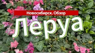 Обзор ЛЕРУА. Новосибирск. Февраль 2024