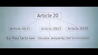 ARTICLE- 20 CONSTITUTION OF INDIA explained by Adv. Bhawana Tanwar #legaleducation#constituion #law