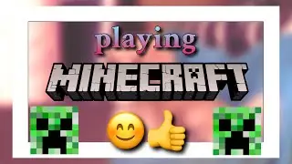 playing minecraft