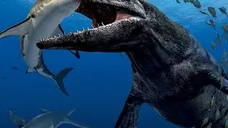 10 Criaturas Misteriosas do Fundo do Mar Capturadas em Câmera
