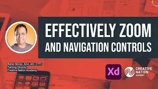 Effectively Zoom and Navigation Controls