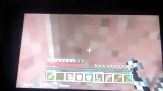 Minecraft2