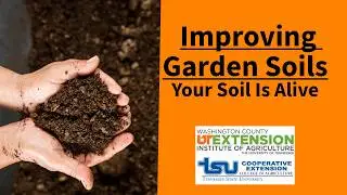Improving Garden Soils: Your Soil Is Alive