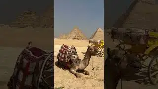 Каир💔
