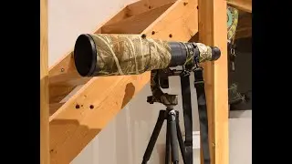 Nikon 500 AF-s f4 Ed con Gimbal