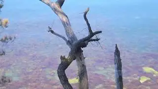 геленджик джанхот