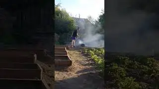 шашлыки