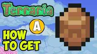 Terraria how to get TURTLE SHELL (EASY) | Terraria 1.4.4.9 Turtle Shell