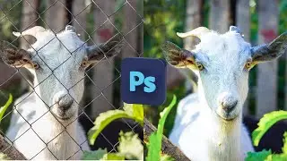 Remove grid in Photoshop! | Photoshop Tutorial