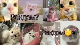 Speed up || опять рандом? || не опять, а снова ||🎧
