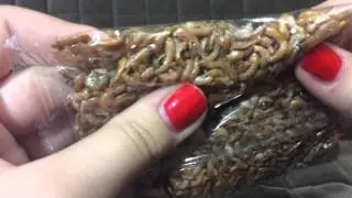 Мои новинки для хомяка
