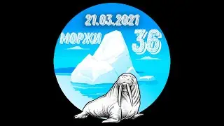 ЗАПЛЫВ МОРЖЕЙ 21.03.2021