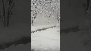 #зима