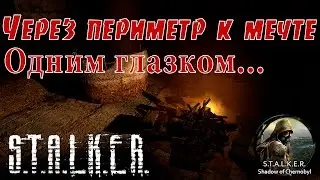 S.T.A.L.K.E.R. Через периметр к мечте._Одним глазком_.