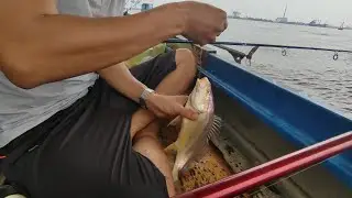 Câu cá biển mồi tôm tại Cần Giờ #fishing