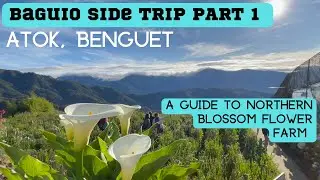 🌲BAGUIO SIDE TRIP Part 1: ATOK,BENGUET | A Guide to NORTHERN BLOSSOM FLOWER FARM #atokbenguet