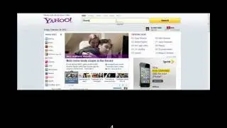 Stinger.wmv