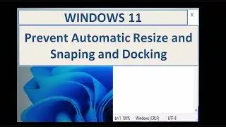 Windows 11 prevent automatic resize snaping and docking