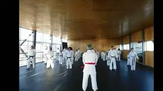 DOJO SHUDOKAN CERRILLOS