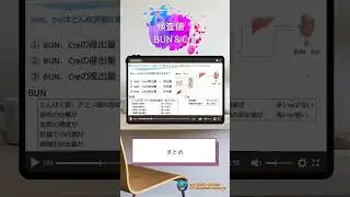[Nutritionist Study Short] Test Values: BUN, Cre② 