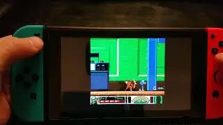 LaiNes - NES Emulator on Nintendo Switch