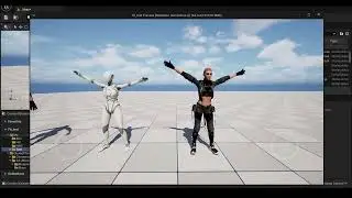 Full Workflow: Cascadeur Animation Creation + Mixamo + Unreal Engine 5.6 Retargeting 