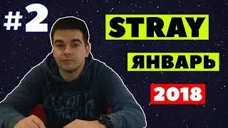 Stray - лучшие моменты #2 / январь 2018