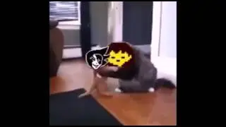 Преколы  андертей!!!!