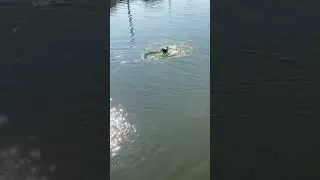 Ловим форель на резину