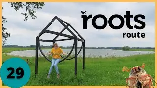 ROOTS ROUTE BIJ LANDGOED KEIZERSRANDE & DE HAERE - wandelvlog 29