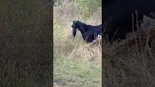 на посту