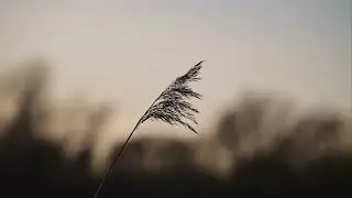 10 best originals from 2021/2022 - Relaxing Piano (by James Malikey)
