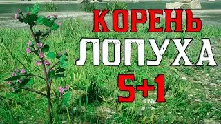 Корень лопуха 5 - red dead online