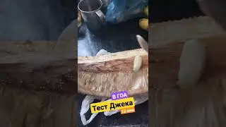 Джекфрут тест в ГОА 13 мая 
