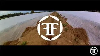 Felixstowe FPV - White Waves