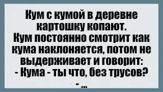 Кум с кумой в деревне - Смешные анекдоты