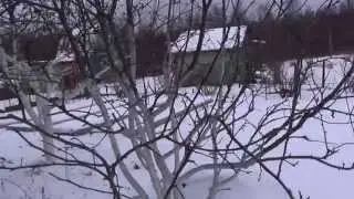 Моя дача в декабре.