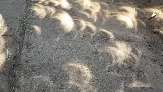 2017 Eclipse dancing shadows