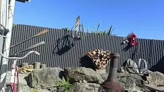 The Boat Shed Bird Cafe #kiwislivingthedream