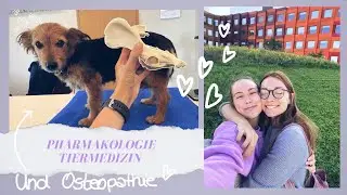 Pharmakologie Staatsexamen, Osteopathie und Affirmationen - ein Vlog // Tiermedizin