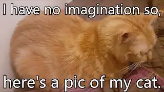 Baguette Fantasy: a vlog update in 3 parts.