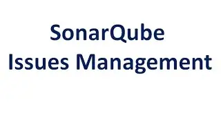 SonarQube Issues Handling