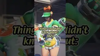 Things YOU didn't know about MEI - Captioned