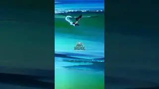 Surf #shorts #short #shortvideo