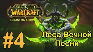#4 Безмятежный берег -  Леса Вечной Песни [WoW: Burning Crusade]