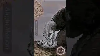 Tyrannosaurus rex vs baby #wis#top10animefights#tyrannosaurusrex#trex#baby#human#real#amongus#edit