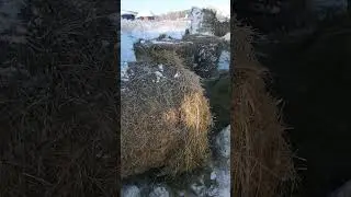Степановна сказала отлично